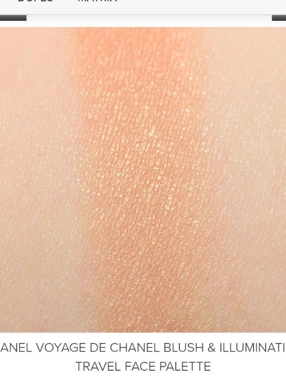 Chanel Blush Palette